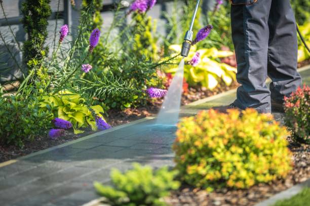 Best Residential Exterior Washing  in USA